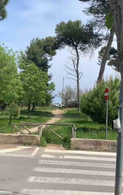 Appartamento Casa Vacanze Montesilvano Marina Exteriör bild